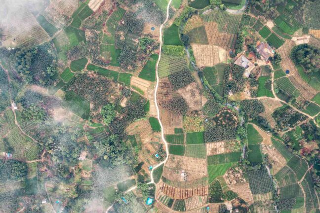 Raw Land Investment Real Estate